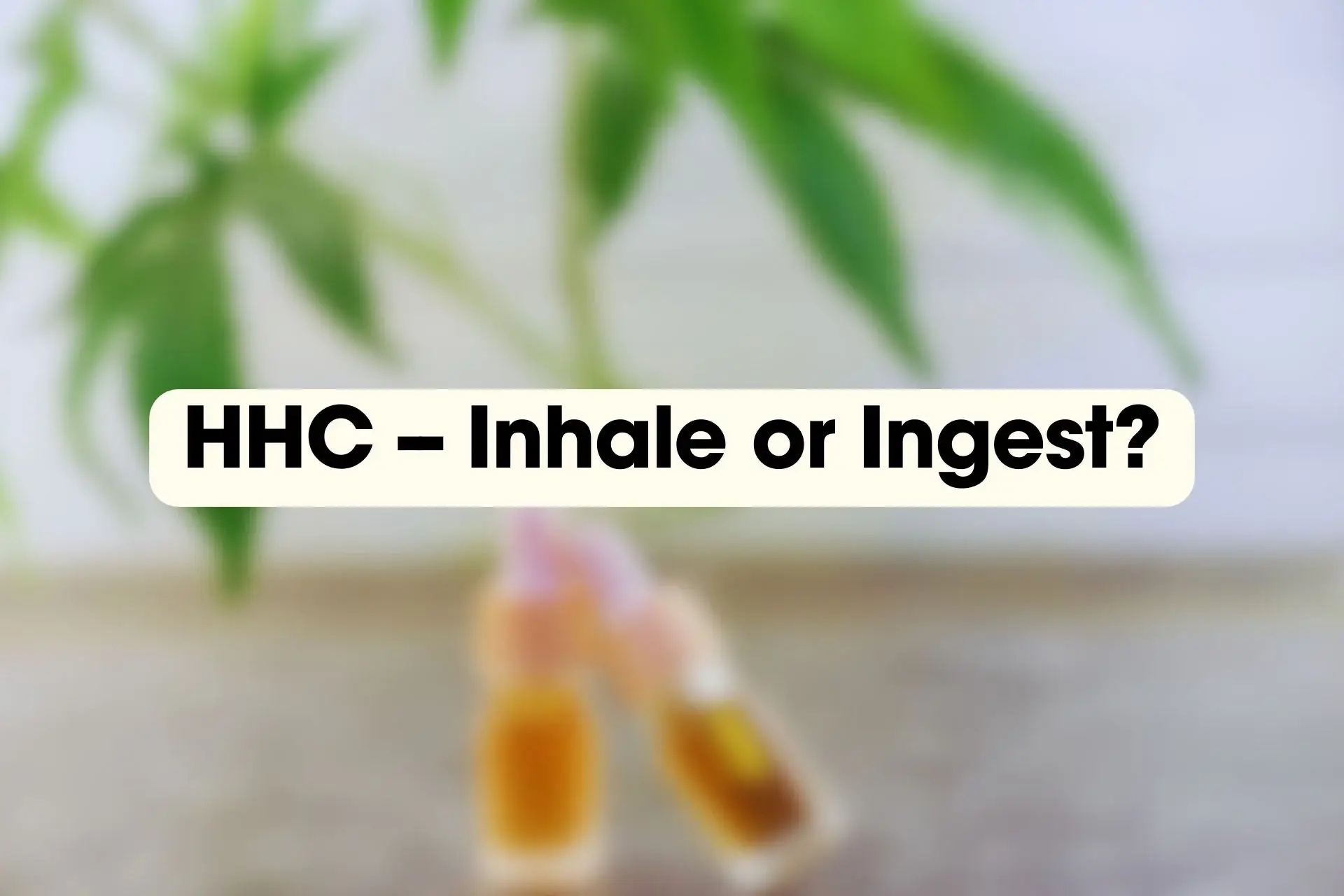 Blurry background of cannabis plant and oil bottles with text overlay 'HHC – Inhale or Ingest?' highlighting consumption methods for HHC products.