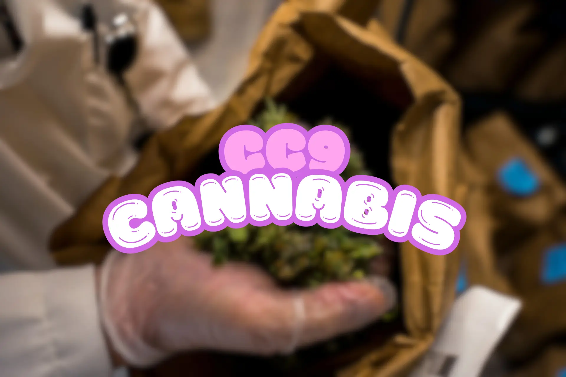 Person wearing gloves holding a bag containing cannabis, with a colorful 'CC9 Cannabis' label overlay.