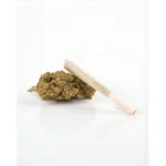 High Life Black Widow 20% THCX & 10% THCA Preroll